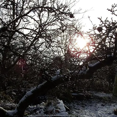 Rauchhaus شقة Karft