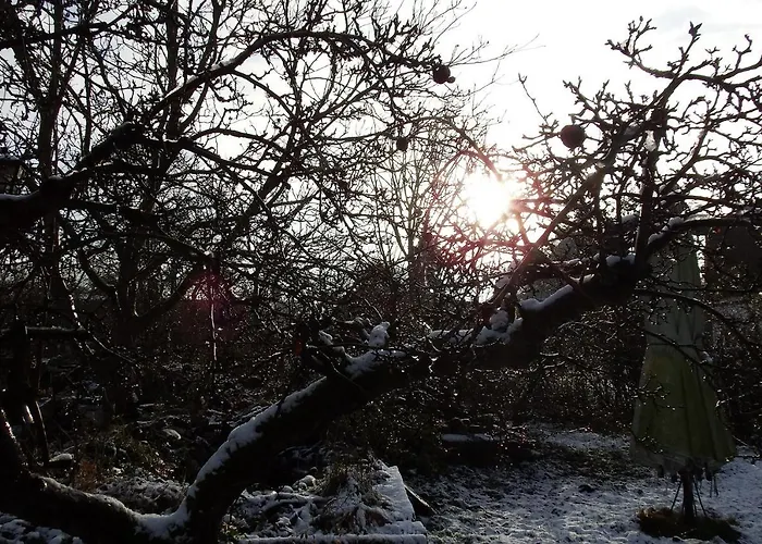 Rauchhaus 아파트 Karft