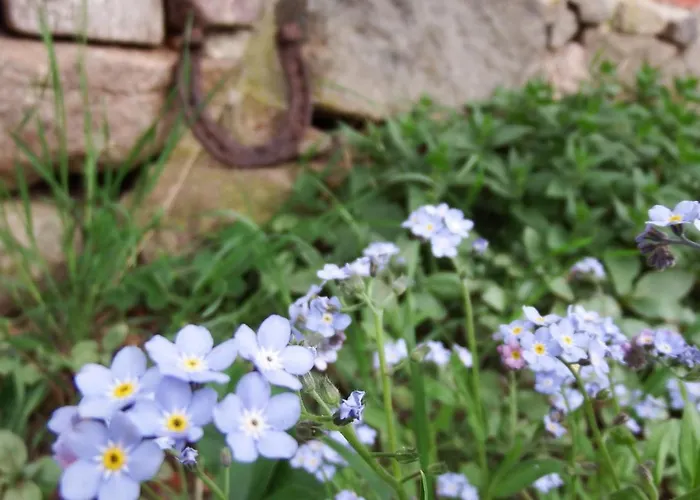 Rauchhaus 아파트 *