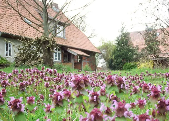 Rauchhaus 아파트 Karft